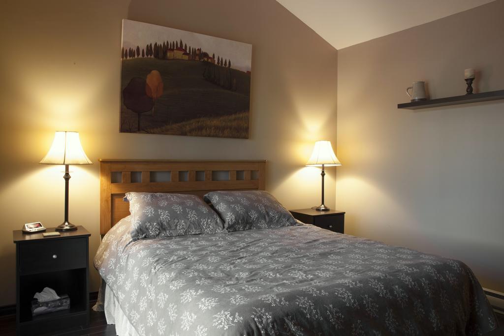 Emme Chalets Sainte-Lucie-de-Doncaster Номер фото